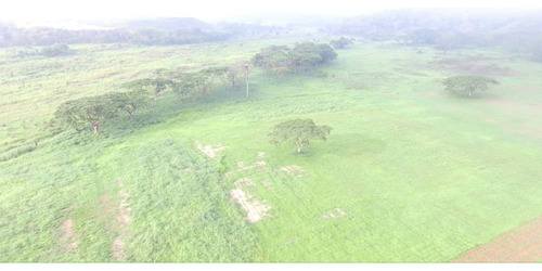 Finca 58 Hectareass, 90% Plana , Agua, Electricidad , Documentos En Bejuma Carabobo 2
