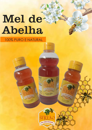 Mel De Abelha Puro E Natural Da Chapada Diamantina - Ba 1 Kg