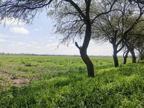 Terreno En Venta En Colonia La Venta De Ajuchitlancito, Pedro Escobedo, Querétaro