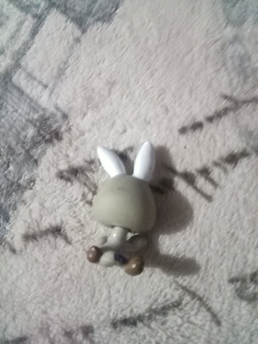 Littlest Pet Shops Conejo Ojos Verdes (Usado)