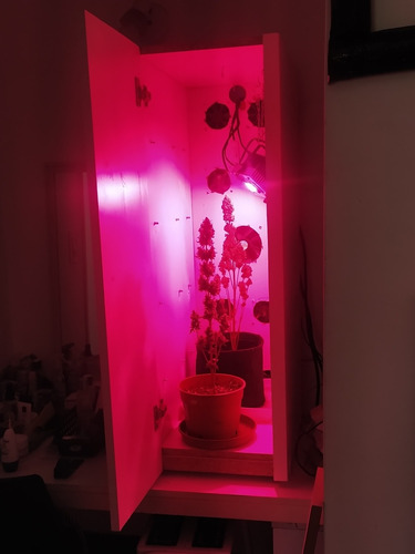 Imagen 1 de 7 de Indoor Completo+100w Lámparas Led Fs+ventilación
