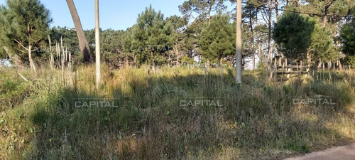 Imagen 1 de 7 de Barrio En La Barra Lote En Venta - La Barra Barra Verde