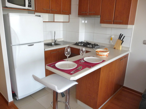 Departamento Amoblado En Arriendo Román Diaz, Providencia