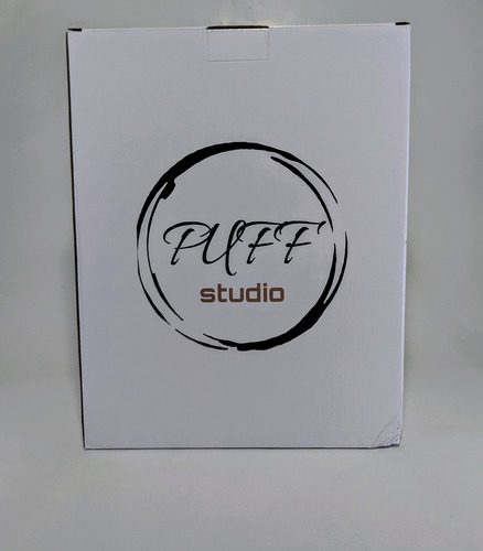 Raikou Puf Studio - Figura De Pokemon Resina Alta Calidad (Usado)