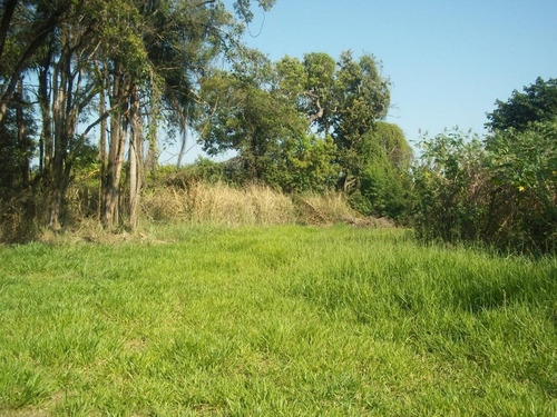 Imagem 4 de 7 de Terreno Para Venda Em Taubaté, Parque São Luís - Te0063_1-1893829