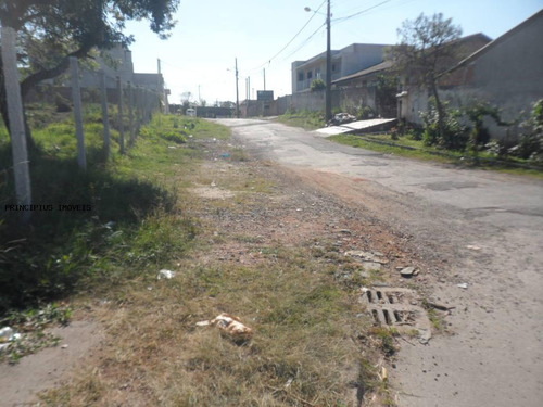 Terreno Para Venda Em São José Dos Pinhais, São Sebastião - 00290_2-1143810