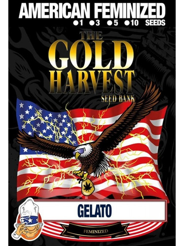 Gold Harvest Gelato (x1)