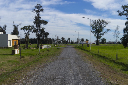 Mercedes - Lotes Quintas - La Cañada