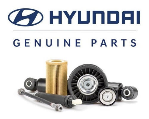 Imagen 2 de 9 de Amortiguador Vidrio Portalon Hyundai Tucson 2005 2010