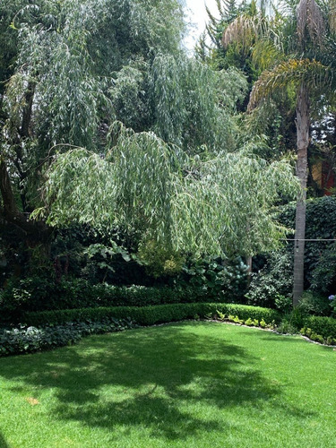 Imagen 12 de 14 de Casa De 3 Recamaras Con Jardín En El Cortijo