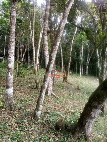Imagem 10 de 27 de Chácara À Venda, Juquitiba, -sp - Ch0006