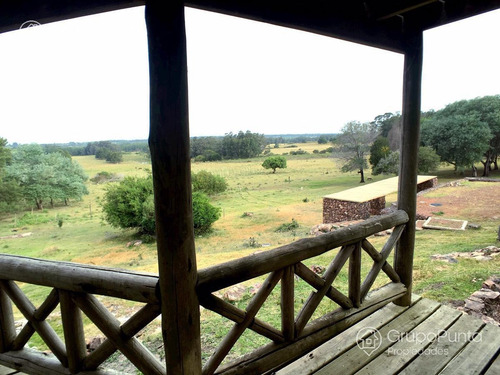 Imagen 22 de 29 de Chacra En Venta - La Pataia