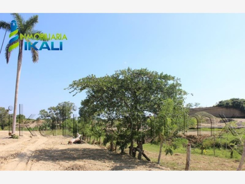 Imagen 4 de 6 de Terreno En Venta Villa Rosita