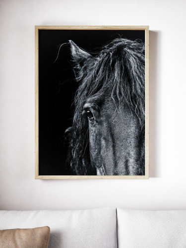 Cuadro Modernos Caballo Negro Marco Y Vidrio Incluido 30x40