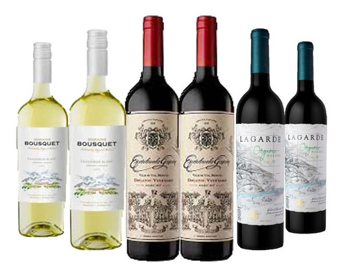 Mix Vino Organico Escorihuela + Lagarde + Domaine Bousquet 
