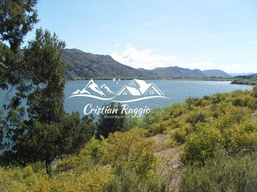 Imagen 21 de 30 de Terrenos De 1/2 Ha C/75 M Costa Lago Pellegrini Sobra Ruta En Cholila
