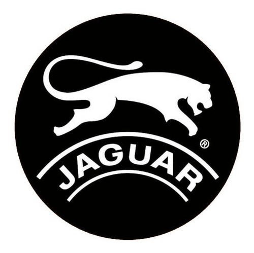 Imagen 4 de 7 de Zapatillas Jaguar Unisex Abrojo Escolar 420 Nuevas 34 Al 40