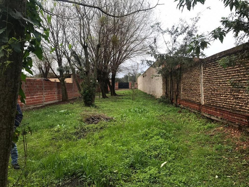 Imagen 8 de 8 de Terreno - Santo Tome