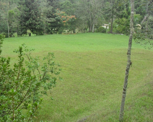 Imagem 6 de 30 de Excelente Sítio Rico Água Com Nascente Própria Em Juquitiba. - 76 - 32982783