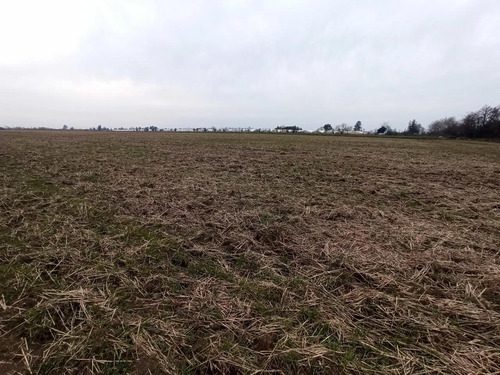 Terreno Agrícola En Venta, Campo De 21 Ha, San Clemente
