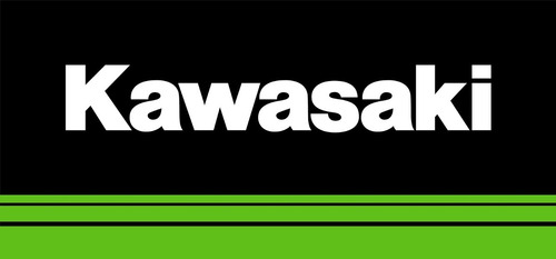 Bomba De Gasolina Vacum Kawasaki Brute Force
