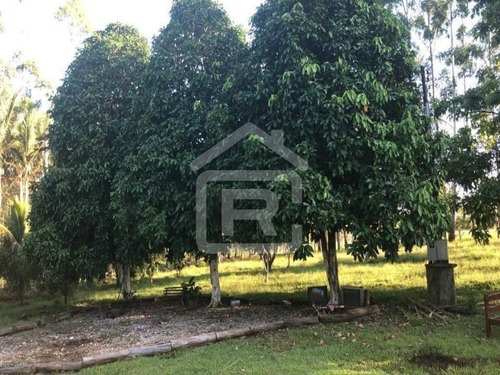 Imagem 7 de 30 de Sitio Com Topografia Plana, Totalmente Limpo, Ótimo Para Plantação Ou Criação De Gados. - 37 - 70344663