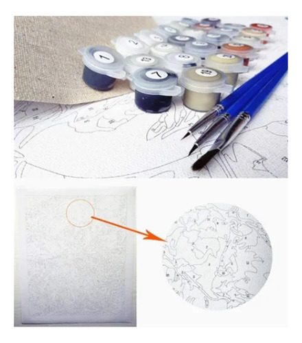 Tucanes Kit Pintura Por Números 30x40 Lienzo Con Bastidor