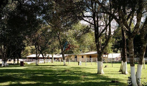 Imagem 10 de 22 de Chácara Com 4 Dormitórios, 21793 M² - Venda Por R$ 2.000.000,00 Ou Aluguel Por R$ 6.000,00/mês - Borda Do Campo - Piraquara/pr - Ch0005