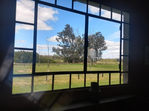 Imagen 18 de 26 de Venta - Campo 12 Has- Casa De Campo - Villa Ruiz
