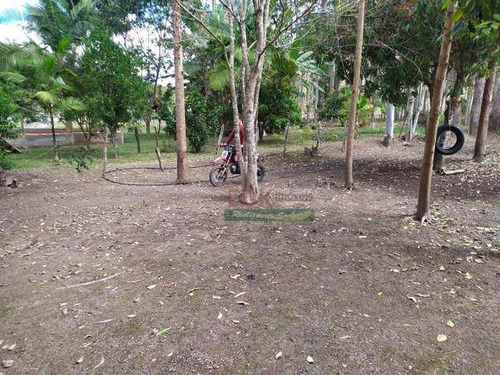 Imagem 13 de 18 de Chácara Com 3 Dormitórios À Venda, 5000 M² Por R$ 380.000,00 - Borda Do Campo - Cunha/sp - Ch0587