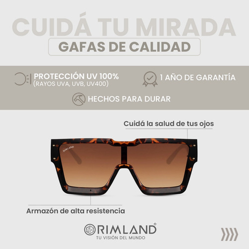 Imagen 2 de 7 de Anteojos Lentes De Sol Rimland Leek Carey