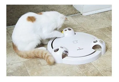 Petsafe pounce best sale