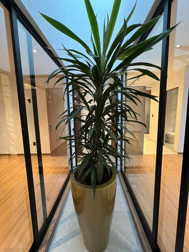 Casa En Zibatá Con Recámara En Planta Baja Y Sala De Tv M1