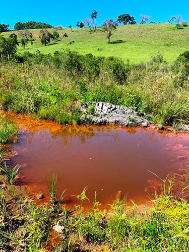 Imagem 11 de 16 de Rural Chacara - 234221-v