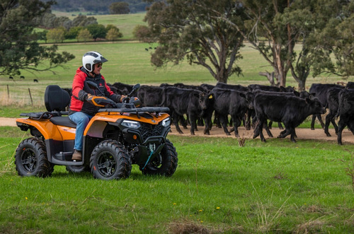Quadriciclo Cforce Cforce 520l Automático 4x4 (novo)
