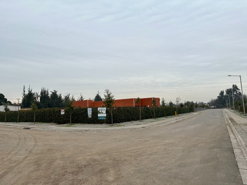 Vive En Un Lugar Soñado, Pinares De Mahuida, Chicureo.