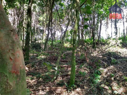 Terreno À Venda, 2170 M² Por R$ 130.000,00 - Parque Germânia - Mairiporã/sp - Te0346