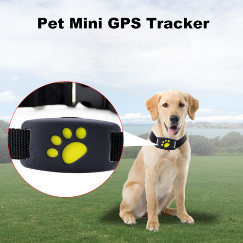 / Pet Waterproof Gps Tracker Collar