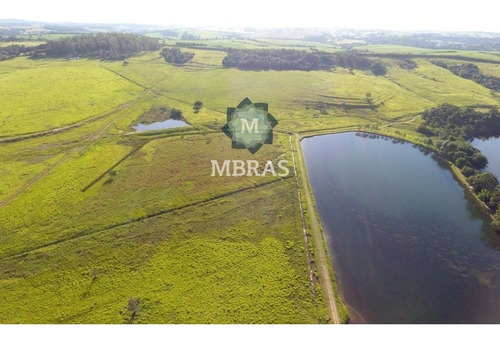 Imagem 9 de 13 de Fazenda - Salto - Mb8804