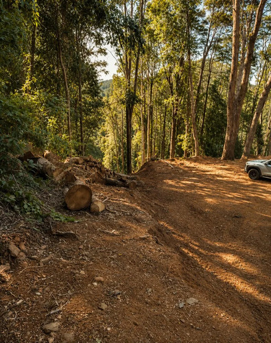 Parcela 5,000 M2 Con Acceso Privado A 15 Min De Valdivia 38m