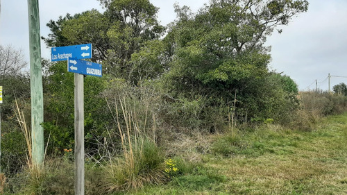 Venta | Terreno Sobre Av. A La Playa - Arachania, Rocha