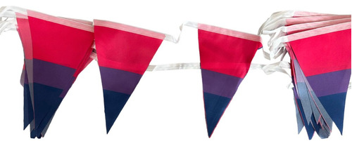 Banderas Bisexual Lgbt Triangulares Banderines