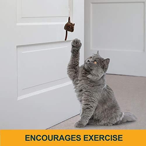 Our Pets Play-n-squeak Batting Practice Juguete Interactivo