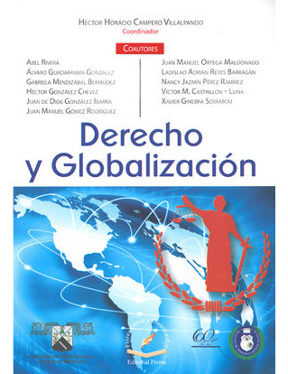 Libro Derecho Y Globalización Original