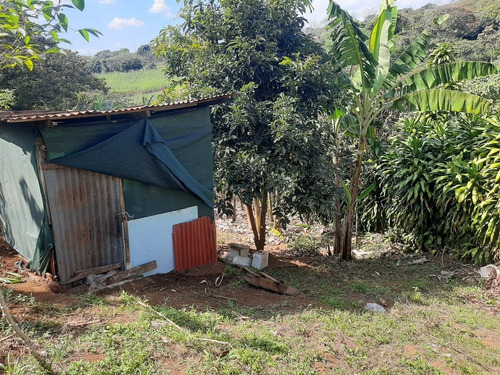 Imagen 6 de 14 de Se Vende Terreno Con 2 Apartamentos
