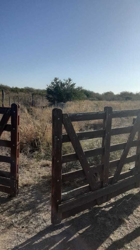 Imagen 3 de 3 de Lote En Venta En Carpinteria.