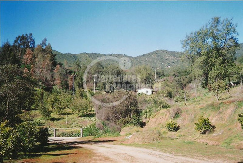 Imagen 12 de 13 de Sitio En Venta En Curacaví