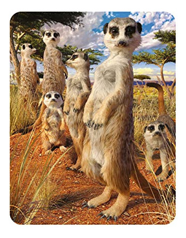 Imán 3d Livelife: Mirada De Suricata De Deluxebase. Lénticul