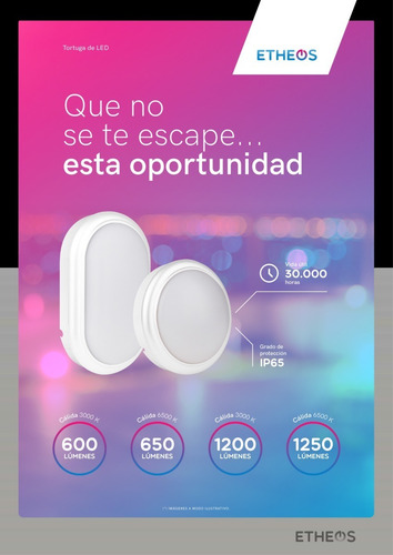 Imagen 5 de 10 de Plafon Exterior Estanco Led Tortuga Oval 15w Puraluz
