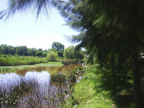 Imagen 1 de 3 de Terreno - Torito